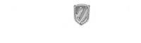 TranspoLink Logo